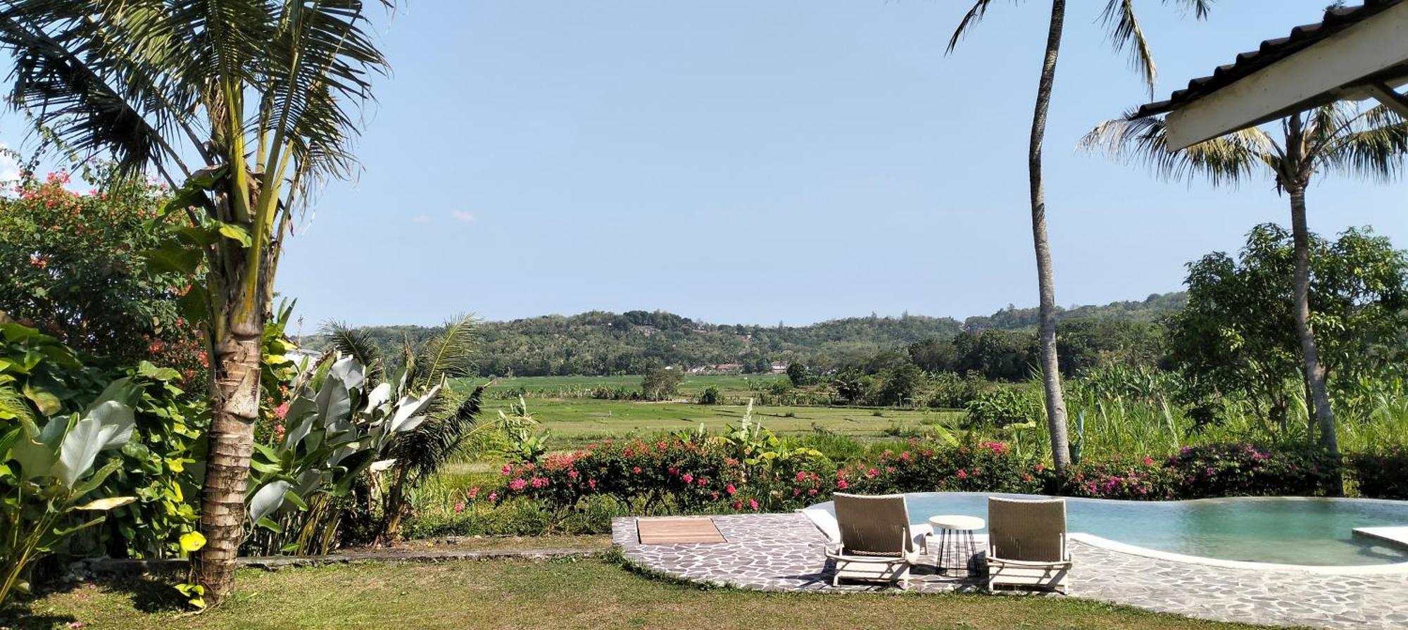 Sunmoonstarvillas Yogyakarta Jarakan Екстер'єр фото